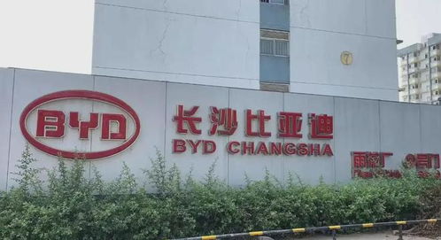 比亚迪新能源车起火事件频发，销量为何依然突飞猛进？福州招聘市场分析